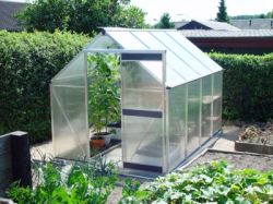 Дезинфекция земли в парнике