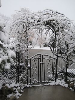 Дни в феврале на садовом участке2