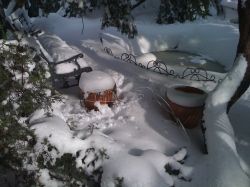 Дни в феврале на садовом участке