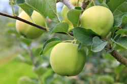 Лечения ран в сентябре