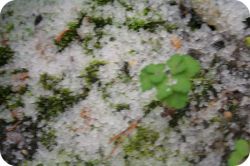 Обзор последних дней марта по лунному календарю