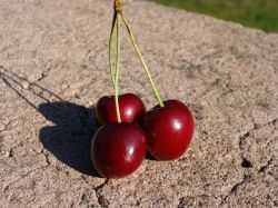 Работы в июне2