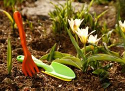 Работы в саду в апреле1