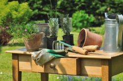 Работы в саду в июле