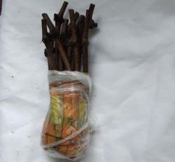 Проращиваем черенки винограда2