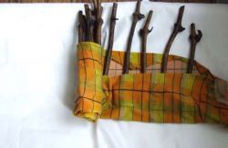 Проращиваем черенки винограда1