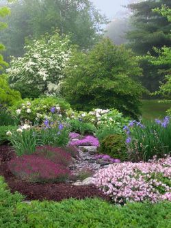 Июнь в цветнике1