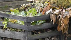 Компостирование5