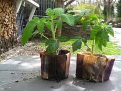 Создание емкости для рассады из бумаги8