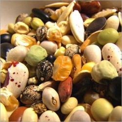 Как провести предпосевную подготовку семян