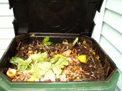 Компост1