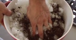 Гидрогель из подгузника в садоводстве2