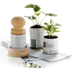 Бумажные соты, торфяные таблетки и другие емкости для рассады3