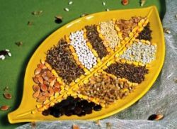 Что делать в феврале в саду и огороде1