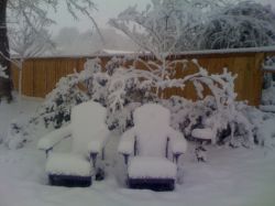 Что делать в феврале в саду и огороде