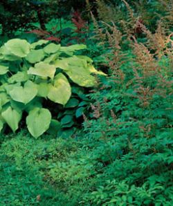 Эффективный способ борьбы с сорняками5