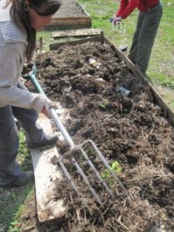 Грунт для теплицы3