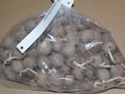 Сеем и садим в марте1