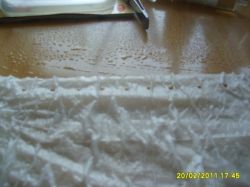 Выращиваем рассаду в стаканчиках1