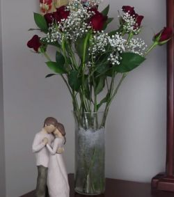 Гидрогель из подгузника в садоводстве5