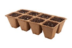 Бумажные соты, торфяные таблетки и другие емкости для рассады2