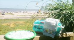 Гидрогель из подгузника в садоводстве6