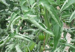 fb2516b9ec0a293b0771d5555a9ab785