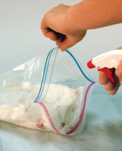 Как прорастить семена за сутки8