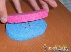 Как прорастить семена за сутки