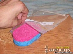 Как прорастить семена за сутки1