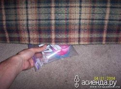 Как прорастить семена за сутки2