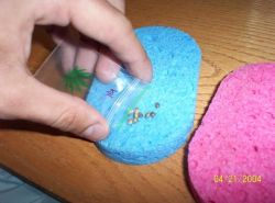 Как прорастить семена за сутки5