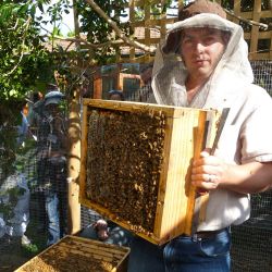 Сентябрь на пасеке